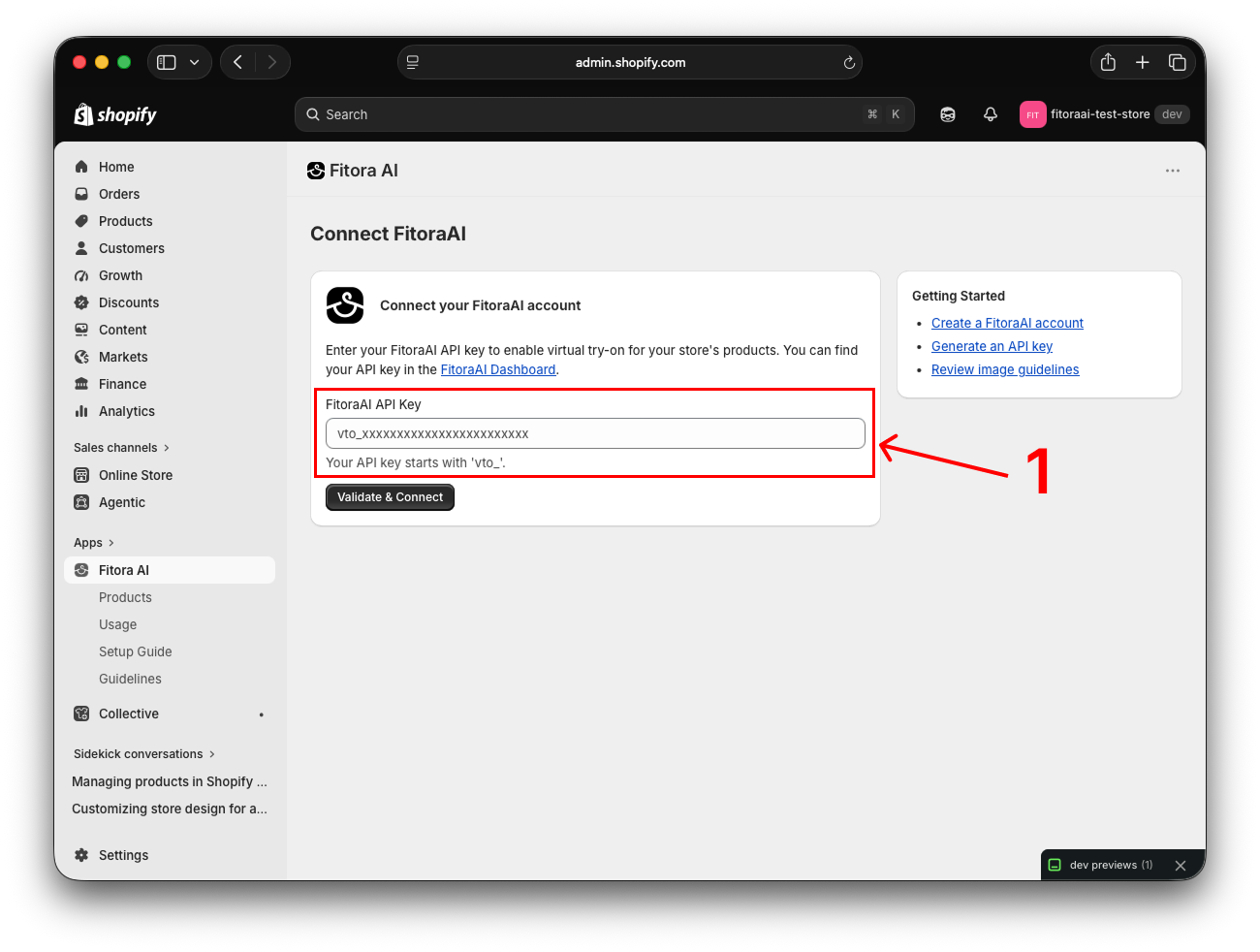 Paste API Key